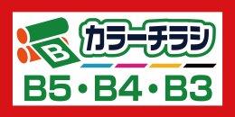 Bサイズチラシ代金